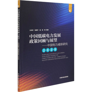 2020 中国低碳电力发展政策回顾与展望——中国电力减排研究