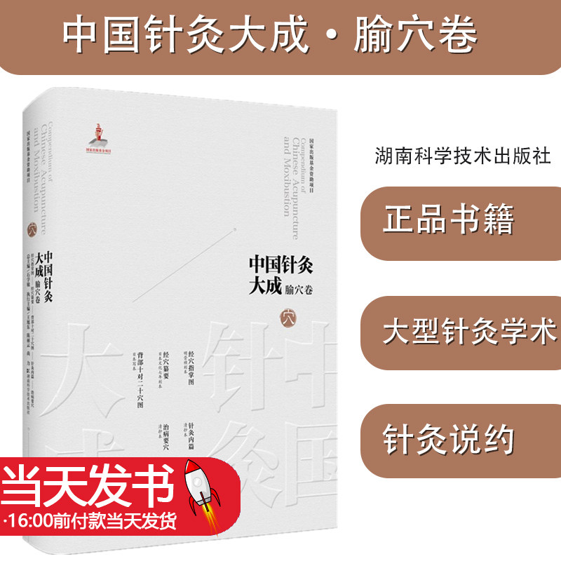 正版图书 中国针灸大成 腧穴卷 经穴指掌图 经穴纂要 背部十对二十穴图 针灸内篇 治病要穴 石学敏,王旭东,陈丽云 等 编 中医生活