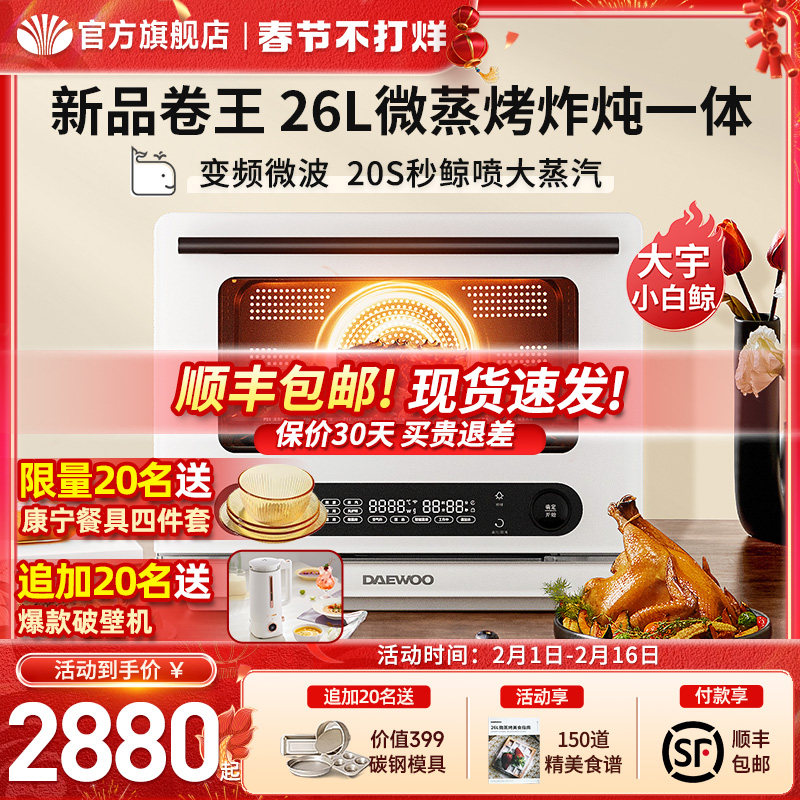 大宇WZK02微蒸烤炸炖一体机家用蒸烤箱多功能微波炉空气炸锅烤箱
