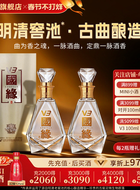 【52度】国缘V3高档白酒水纯粮食酿今世缘礼盒装送礼宴请500ml*2