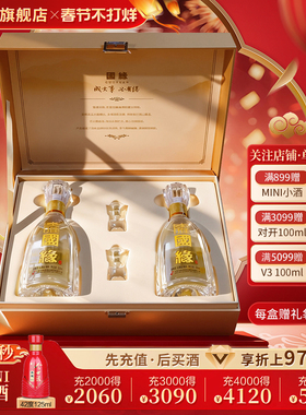 【淡雅礼盒】国缘淡雅高档白酒水纯粮食酒礼盒送长辈42度500ml*2