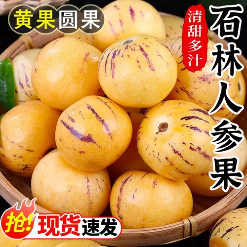 云南石林人参果圆果树上熟清甜多汁人生果娃娃果七彩黄肉新鲜水果