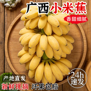 广西小米蕉当季新鲜水果自然熟小香蕉软糯香甜非芭蕉皇帝蕉整箱