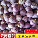 云南紫皮独头蒜2024新蒜5斤大蒜头新鲜农家蒜头干蒜当季 蔬菜当季