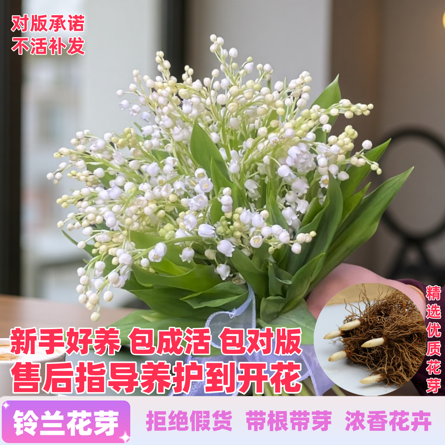进口铃兰花苗带芽盆栽地栽种球四季种植多年生浓香绿植物室外耐寒,鲜花速递/花卉仿真/绿植园艺,时令草本花卉,淘宝优惠券,粉丝福利购,淘宝优惠卷