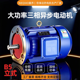 YE3三相立式电动机11KW15/18.5/22/30/37/45/55千瓦全铜380V电机