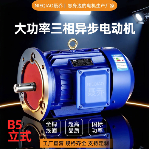 聂乔大功率全铜线电动机