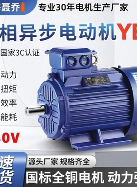 ye3三相异步电动机11KW15/18.5/22/30/37/45/55千瓦全铜380V电机