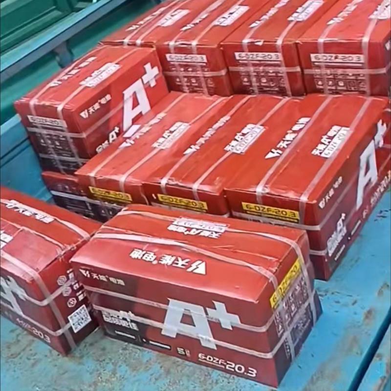 6-DZM-20-天能蓄电池12V系列6-DZF-20.312V20AH_天能蓄电池/电瓶