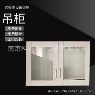 厂家供应实验室全钢试验台PP物理化学实验室吊柜实验台通风柜吊柜