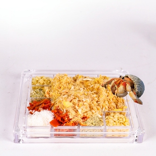 寄居蟹网格状食盆/16宫格透明分餐盒独立小格易清洗蟹蟹不卡腿