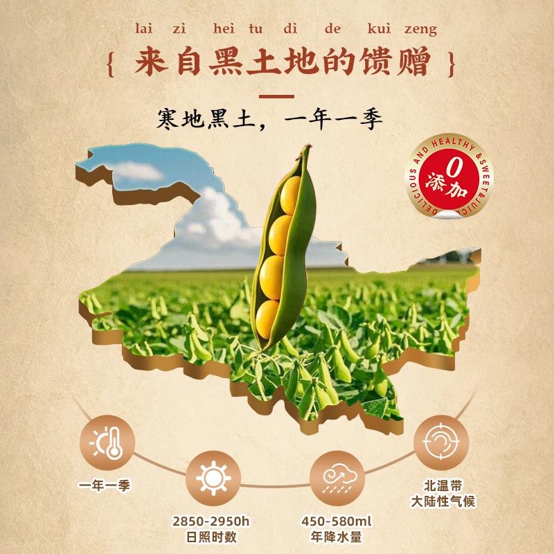 山东特产素豆肠豆制品干货素鸡肠豆笋人造肉火锅食材麻辣烫家商用