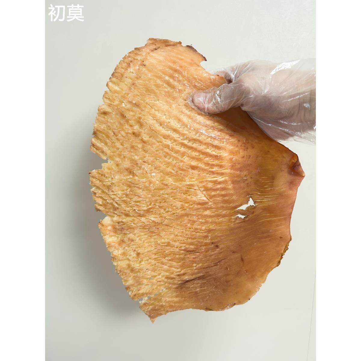 渤海湾特产手撕风琴鱿鱼片海鲜即食鱿鱼零食小吃特产鱿鱼丝500g包