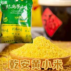 东北乾安黄小米5斤三春访小米月子米装新小米真空五谷粗粮杂粮粥