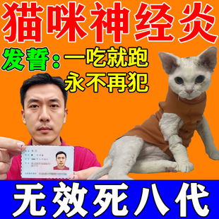 猫咪神经炎药治疗腿瘸甲钴胺癫安舒狗狗神经炎特效药大团子筋灵解