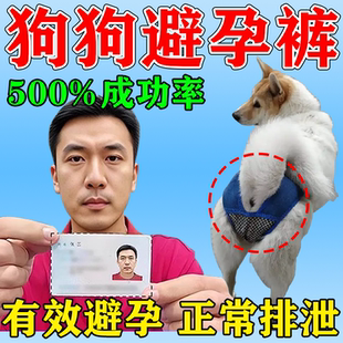 狗狗避孕裤可排泄母狗防交配神器狗发裤防交配裤生理裤裤情防骚扰