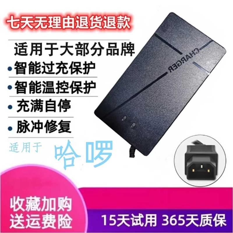 哈啰新国标小公插电动电瓶车铅酸蓄电池智能充电器48V60V72伏适用