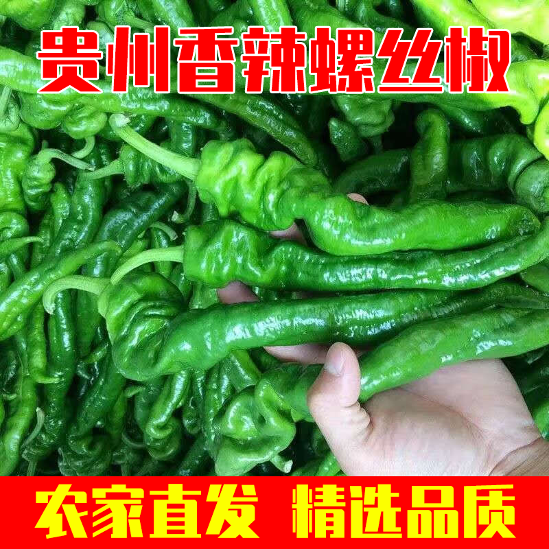 新鲜现摘螺丝椒5斤农家皱皮辣椒山东蔬菜特辣青椒辣子鸡薄皮辣椒