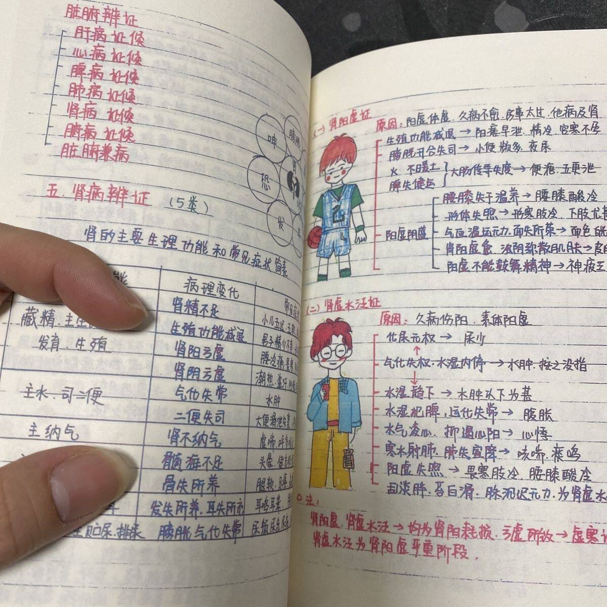 中医诊断笔记本手绘自学