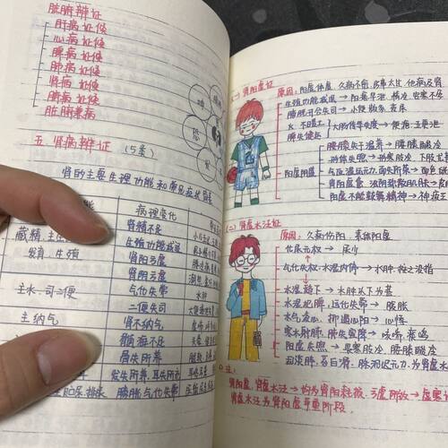 中医诊断笔记本手绘自学
