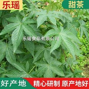 覆盆子叶袋泡提取物原料花果茶刺儿茶黑莓叶 家悬钩子甜茶叶