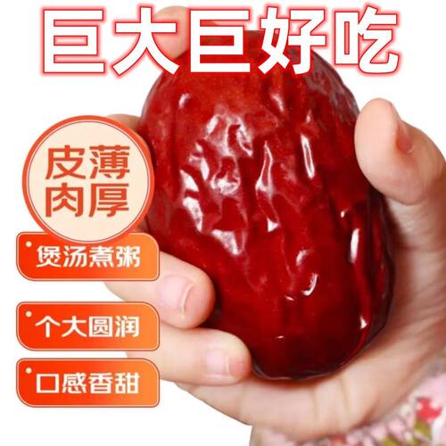【特价】新货正宗新疆和田大枣新鲜骏枣和田玉枣大红枣零食批发