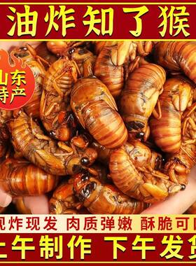 油炸金蝉油炸知了猴现炸爬叉香脆可口香辣椒盐味开袋即食真空包装