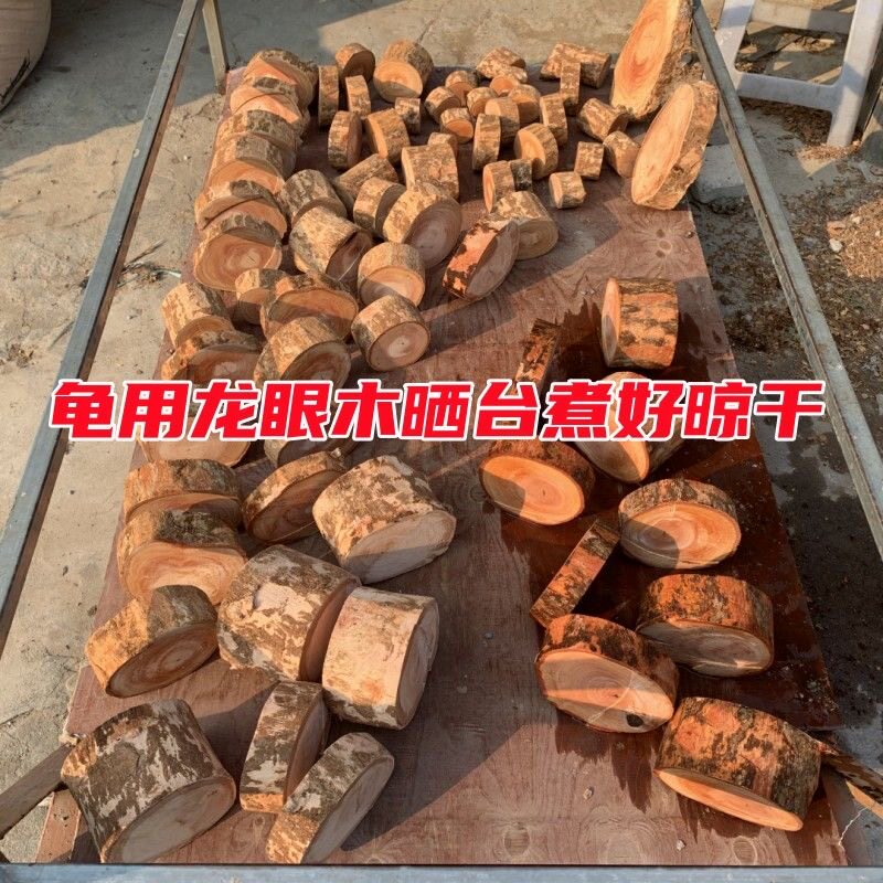 正宗龟用龙眼木晒背台乌龟爬坡休息台天然沉木鱼缸造景免煮