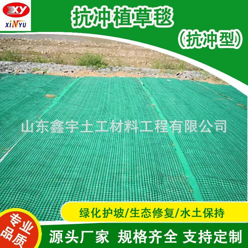 抗冲生物毯河道护坡防冲刷椰丝植物纤维毯绿化草籽加筋抗冲植草毯