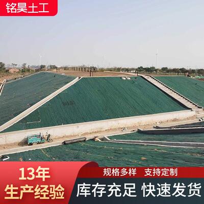 草籽椰丝毯 绿化护坡抗冲植物纤维生态毯荒山修复加筋草籽椰丝毯