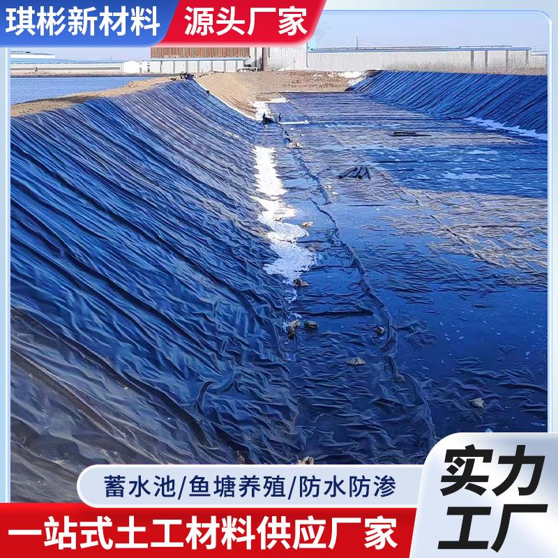 土工膜鱼塘垃圾填埋场工程防水黑膜水库鱼塘养殖沼气池hdpe土工膜
