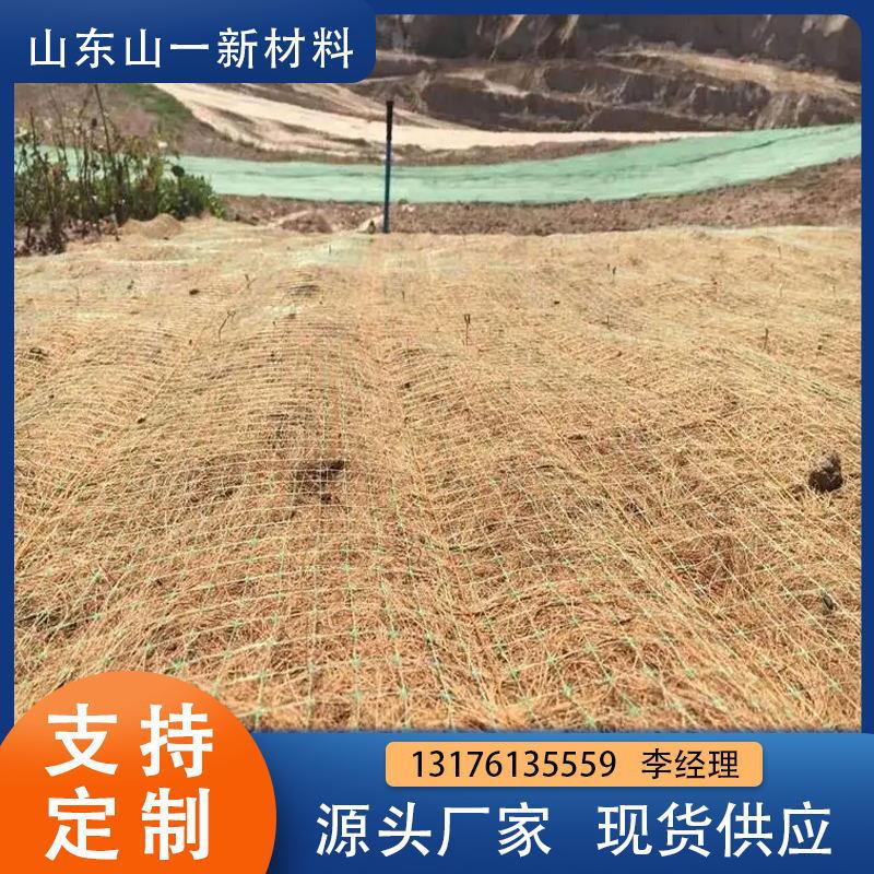 山东椰丝毯生产厂家 河道护坡绿化抗冲生物毯 抗冲刷草籽植生毯