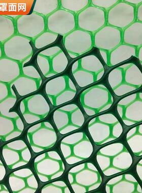 D148PE土工罩塑面网河道堤护坡固土料ceH131土工坝网植物攀爬网厂