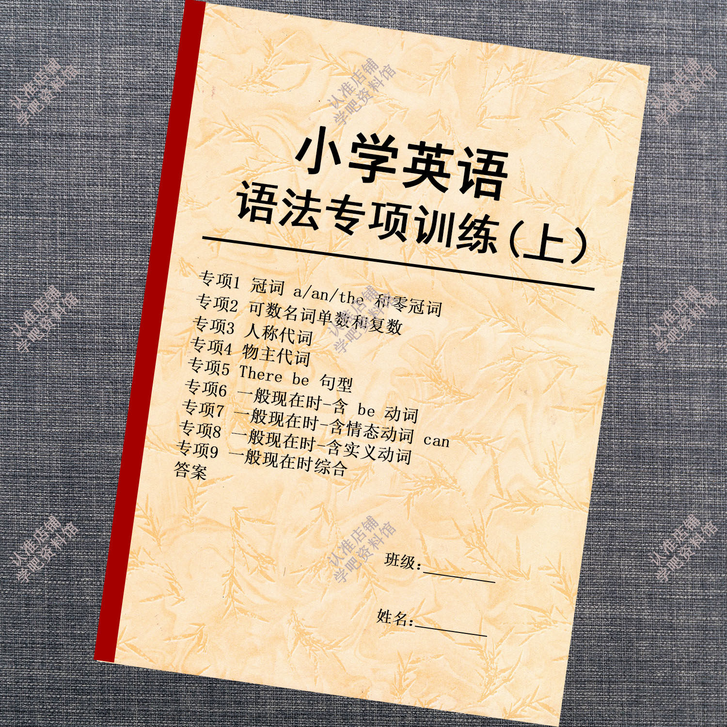 小学英语语法训练总结本