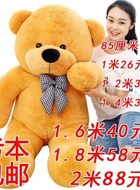 毛绒玩具泰迪熊公仔大熊抱枕熊猫布娃娃大号抱抱熊玩偶生日礼物女