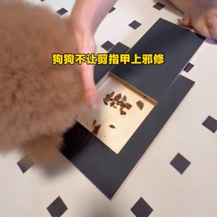 木质磨甲狗抓板带狗粮盒沙发防抓狗狗嗅闻玩具砂纸锉板防宠物刨地