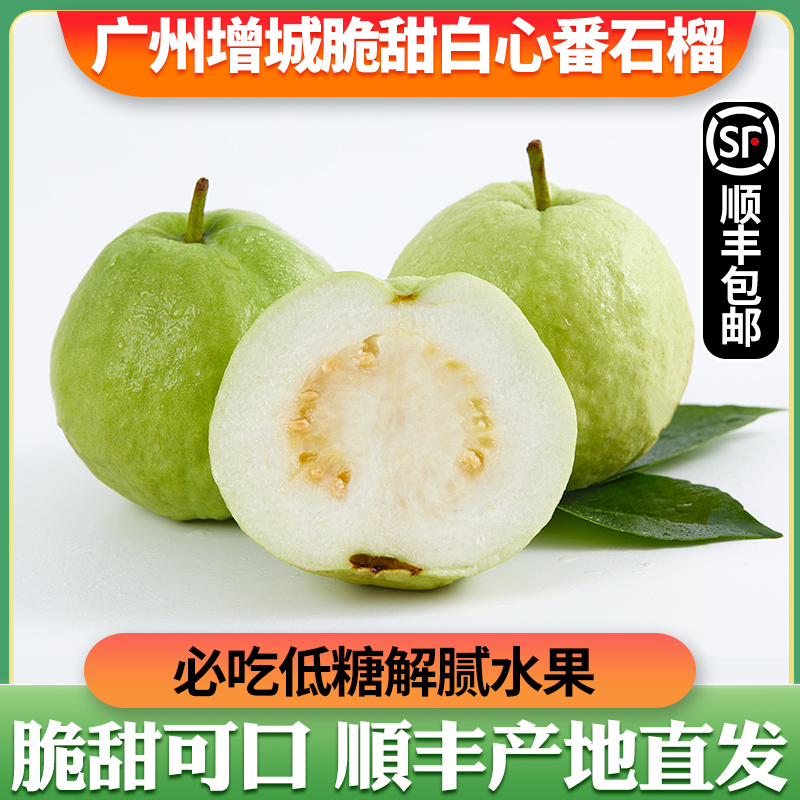 广州增城白心番石榴脆甜珍珠芭乐净重精品大果现摘顺丰包邮