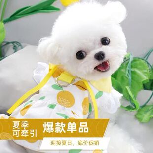 小狗衣服夏天薄款公主裙贵宾比熊宠物小型犬博美泰迪牵引猫咪衣服