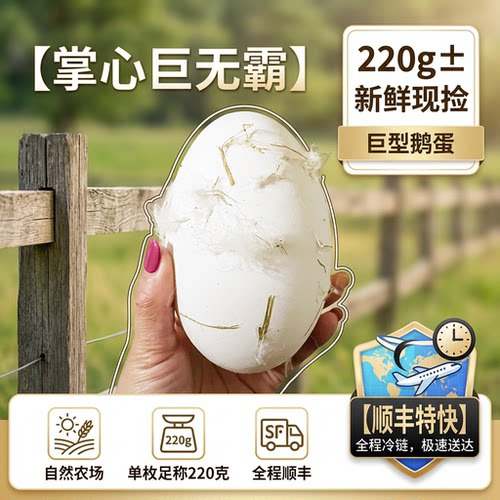 假一赔十】12枚新鲜超大生鹅蛋220-260克双黄正宗土鹅蛋农家散养