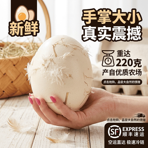 假一赔十】12枚新鲜超大生鹅蛋220-260克双黄正宗土鹅蛋农家散养
