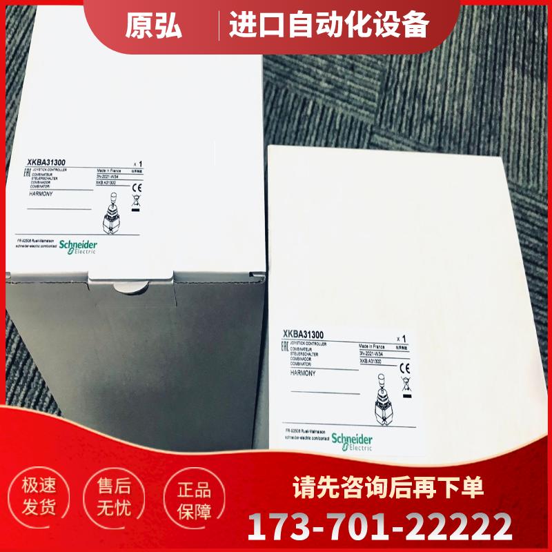 假一罚十 全新原装 现货 Schneider 施耐德主令控制器 X【议价】