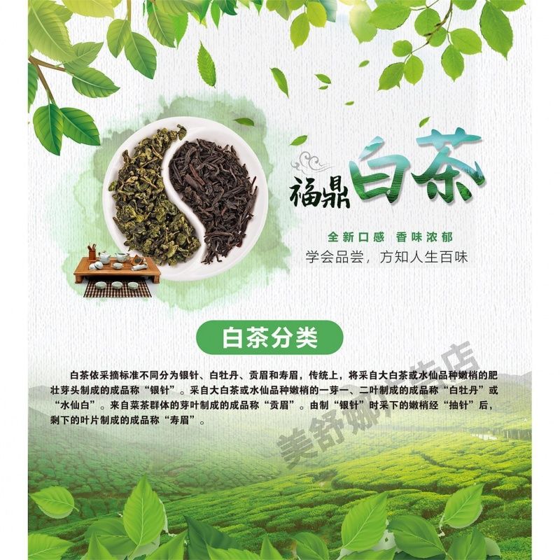 茶的分类广告画福鼎白茶简介海报贴纸白茶的功效墙贴墙纸KT板