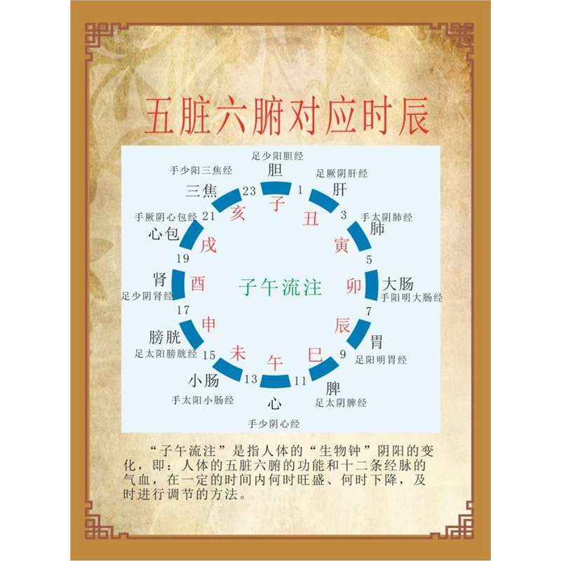 五脏六腑对应时应 足疗五大核心 海报 按摩脚的好处 挂图 装饰画