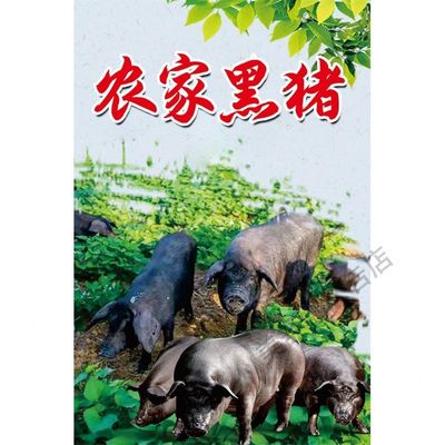 农家黑猪肉广告设计挂画墙壁装饰农场商场生态放养黑土猪油画布