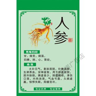中草药海报中药材介绍贴纸挂图墙贴画人参鹿茸三七中药房布置挂画