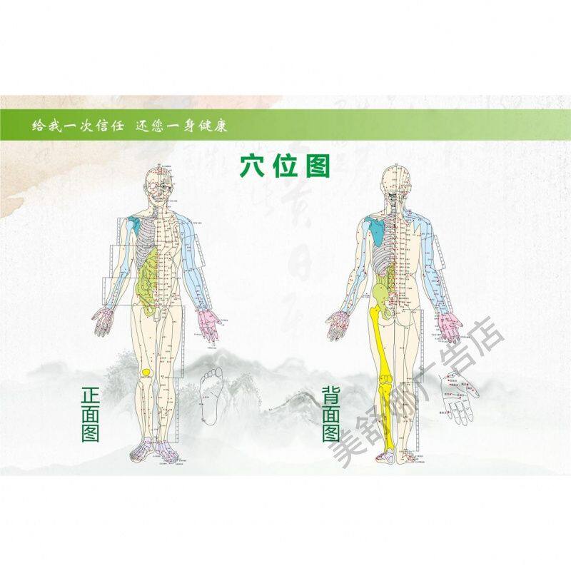 人体经络穴位图高清挂图全身标准针灸家用中医养生馆装饰壁画家用
