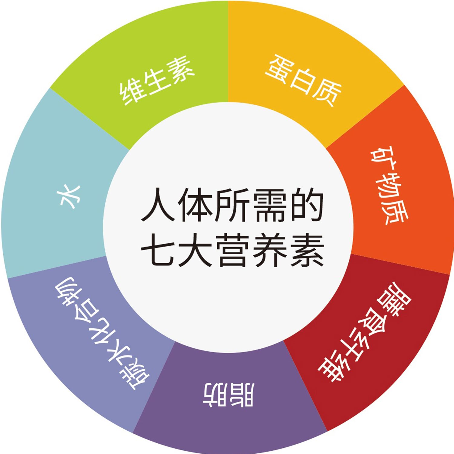人体所需的七大营养要素海报展板人体七大营养素是什么墙贴墙纸