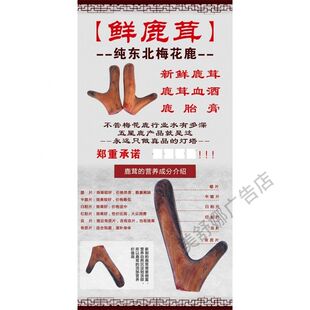 滋补养身鹿茸贴纸中医理疗养生馆滋补品贴画海报中药材贴纸装 饰画