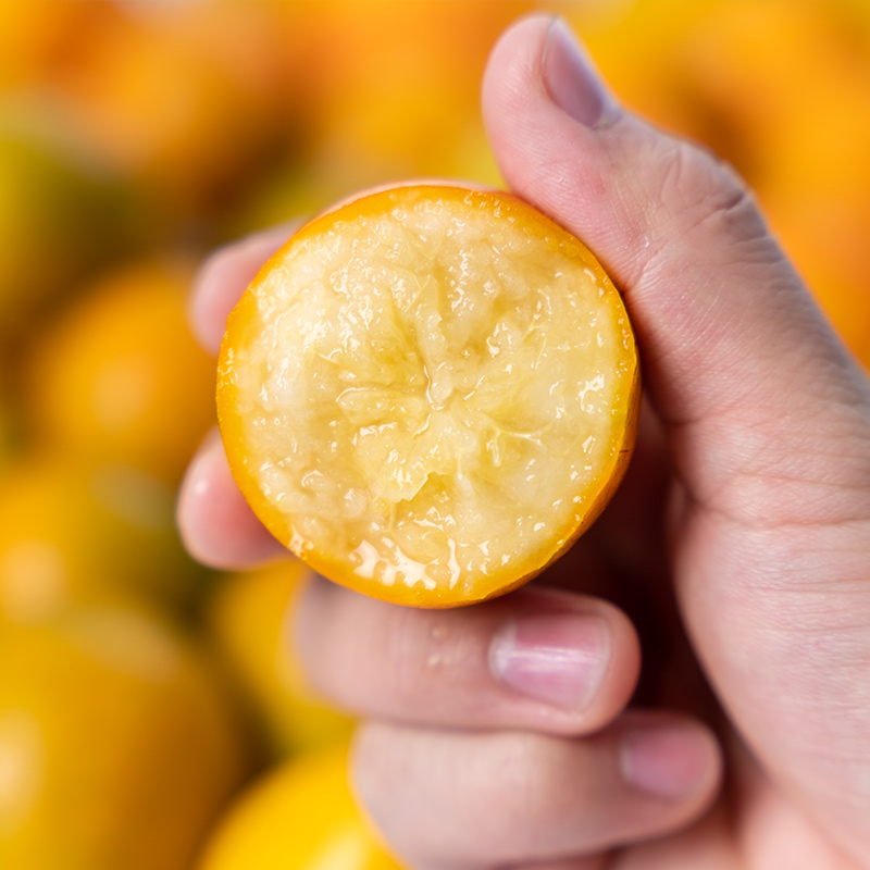 广西融安金桔第三代脆密金柑当季新鲜水果脆蜜金桔香甜多汁