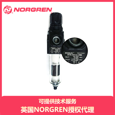 ExcelonB72G3GKQT3RMN过滤减压阀